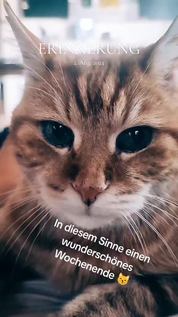 @Ossitussi1.0