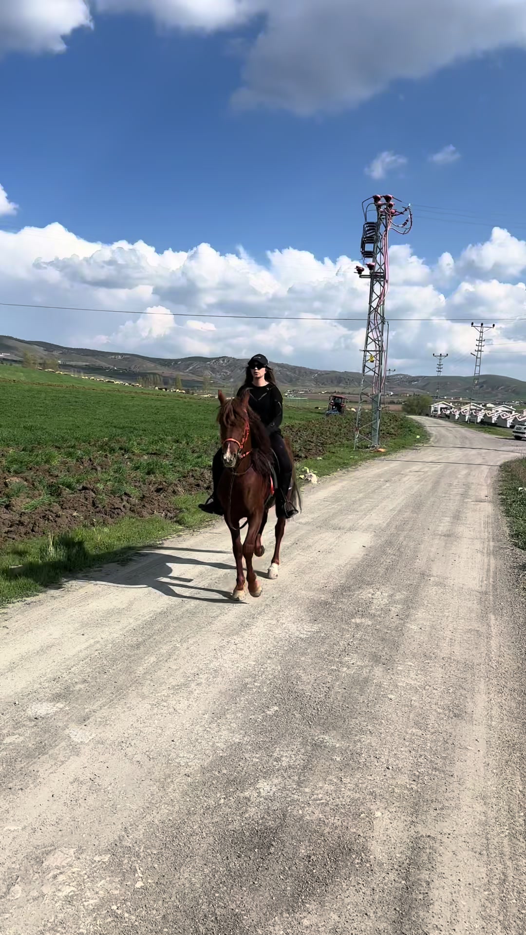 @esra.guzelark