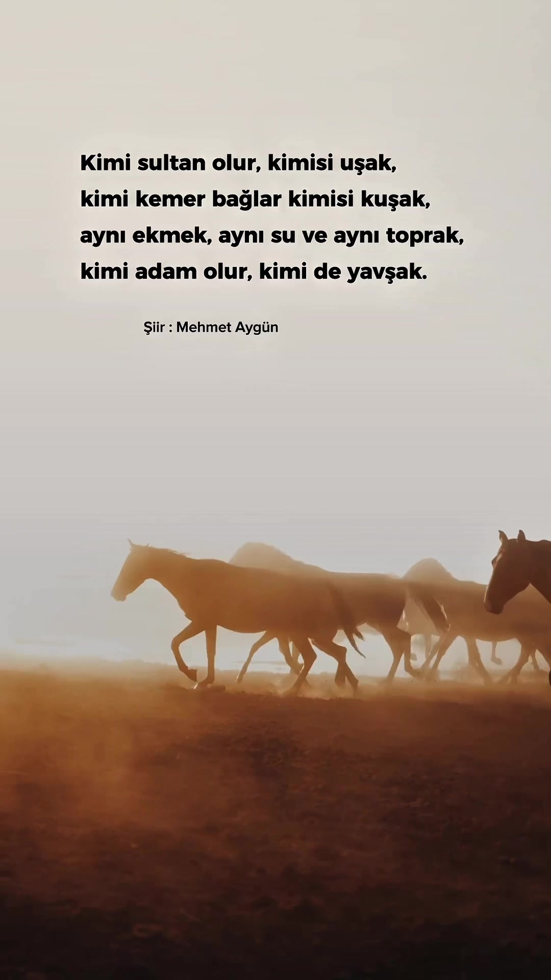 @Mehmet Aygün