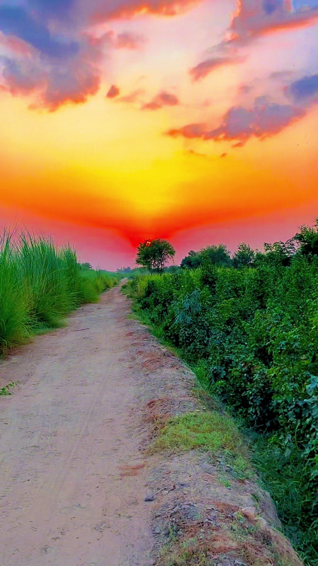 @🌾میں۔ میرا۔ پنڈ🎋