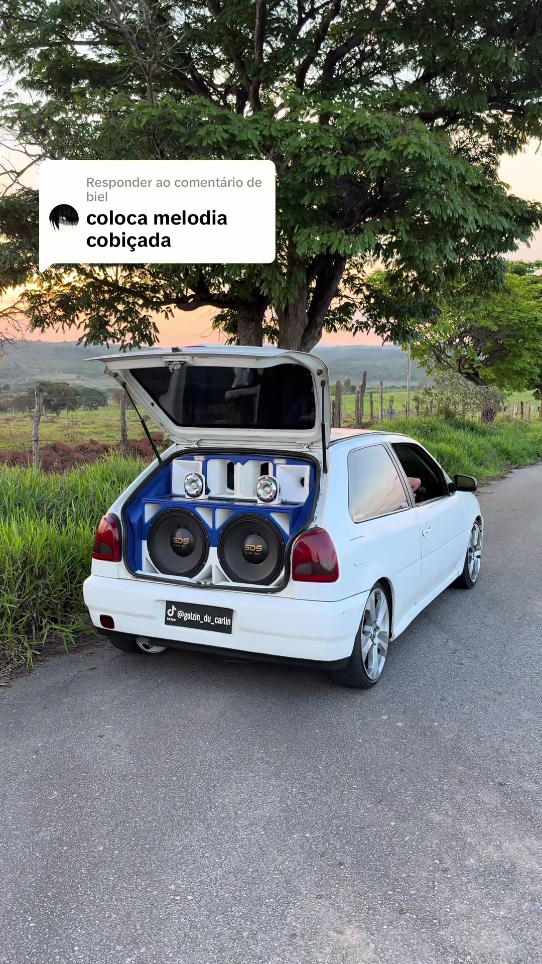 @Golzin_Du_Carlin