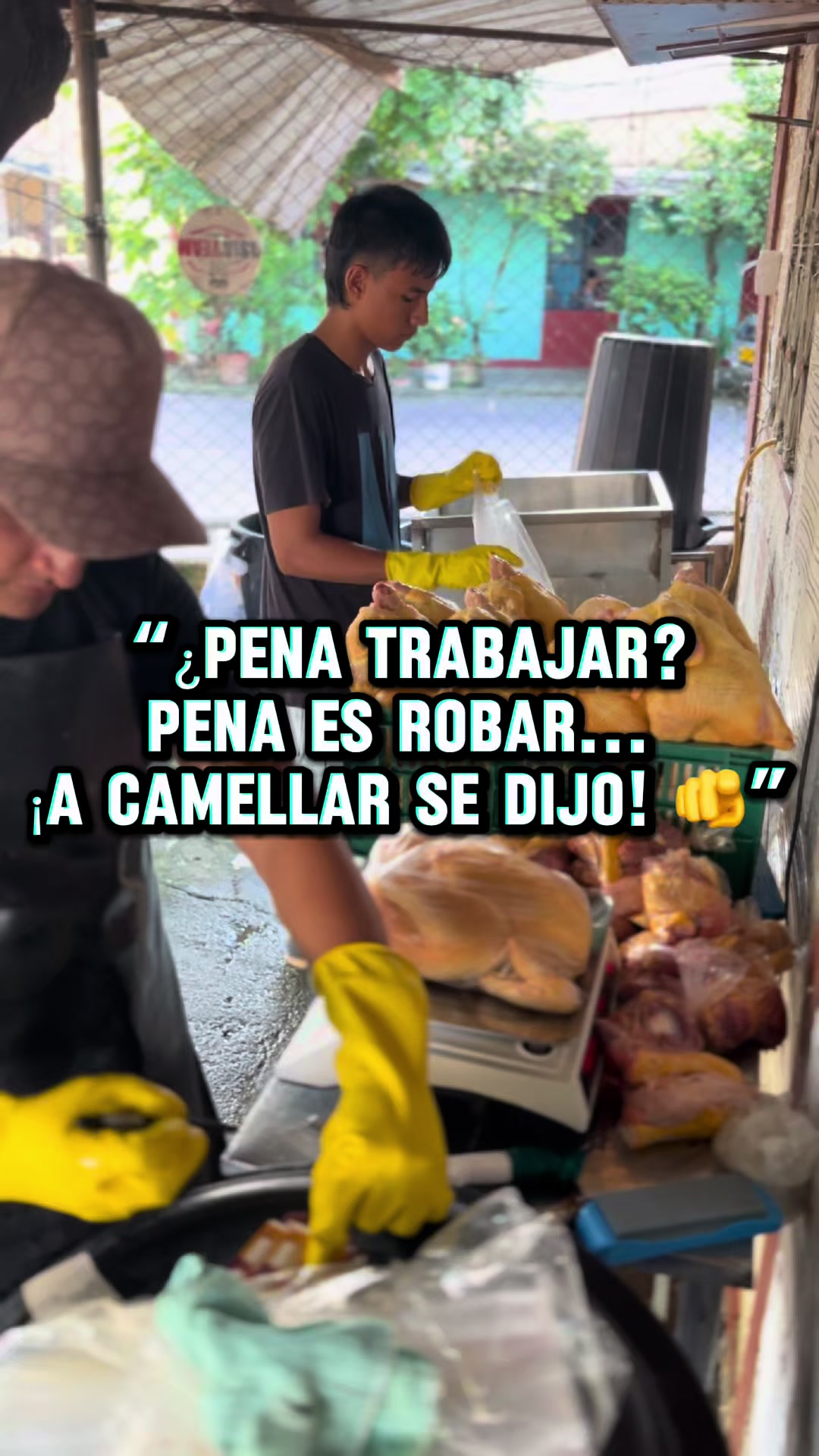 @elmagnatedelospollos