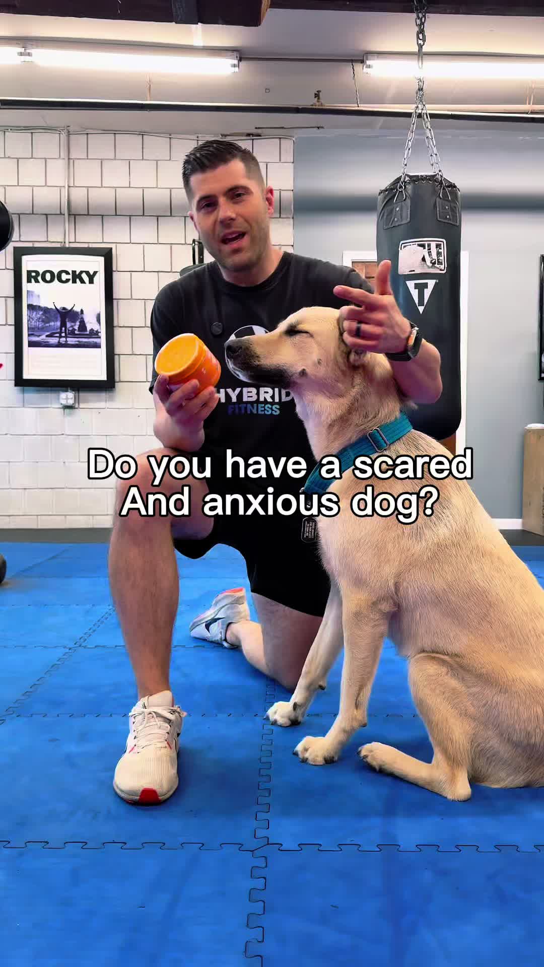@HybridDoug