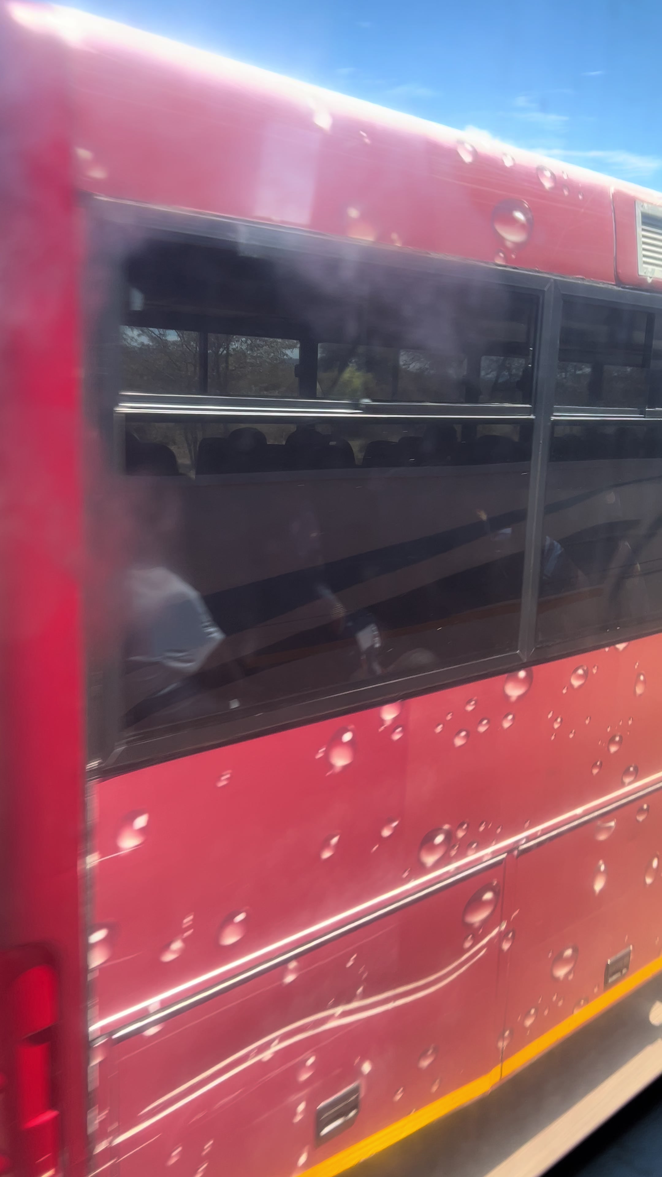 @SA to Africa Bus spotting