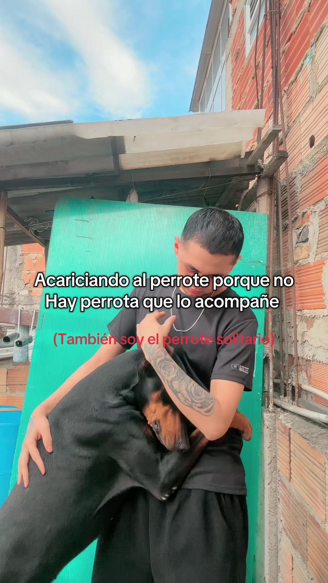 @Arbeysito 💎