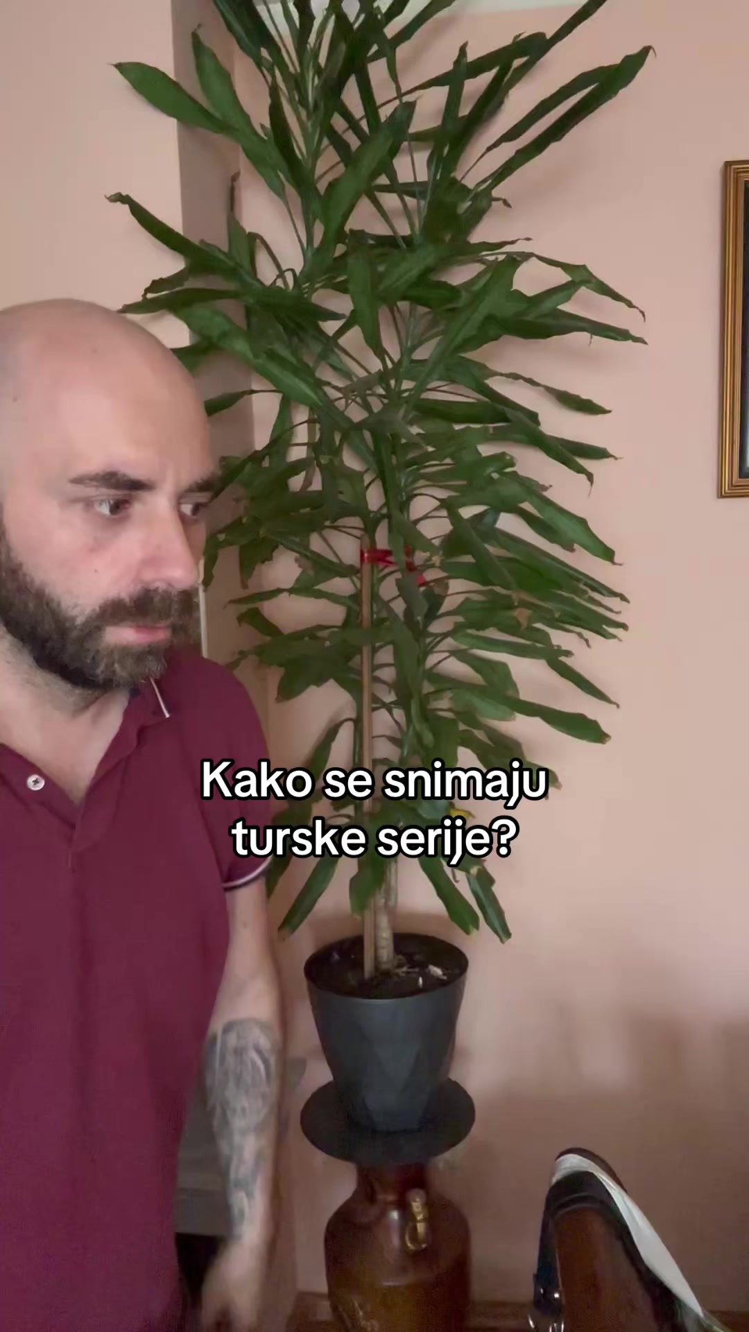@Marko Šćepanović