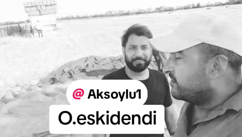@Hamit Aksoy