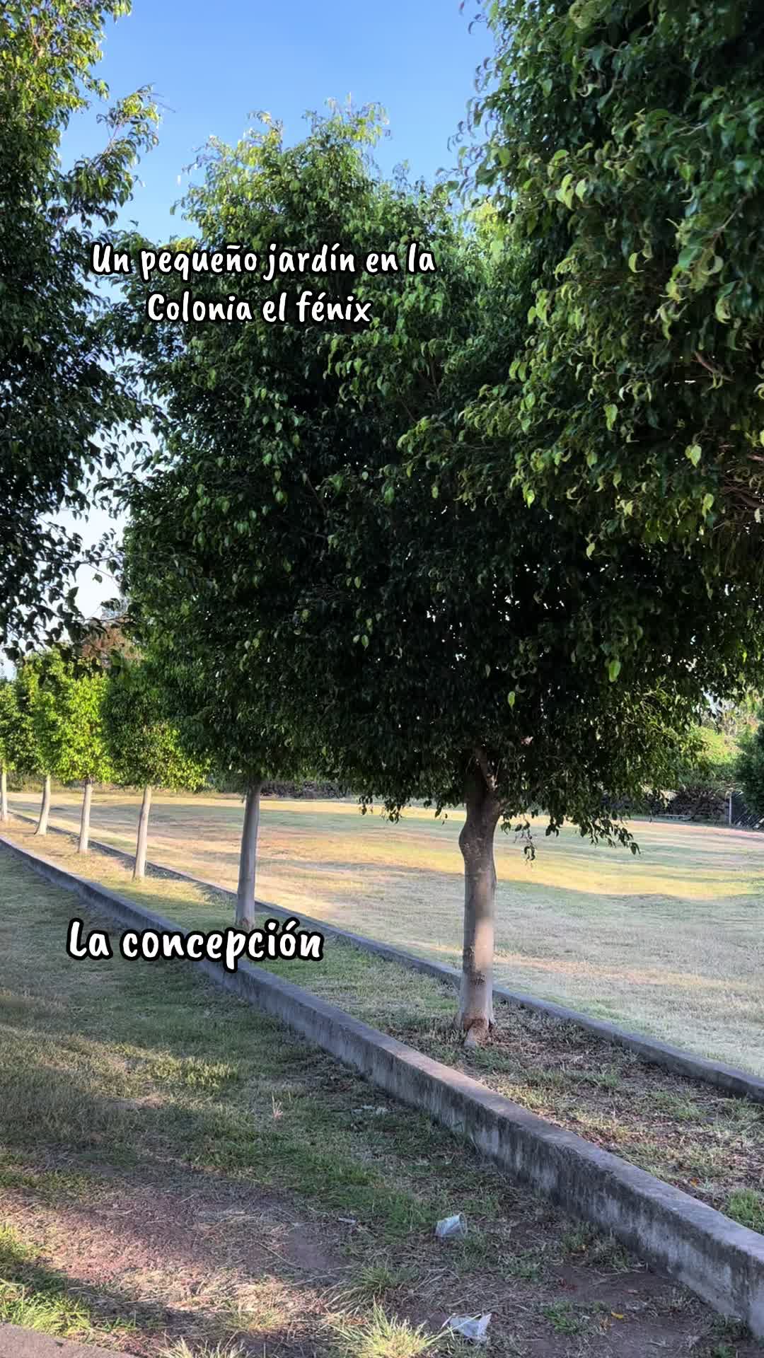 @Antony Saavedra