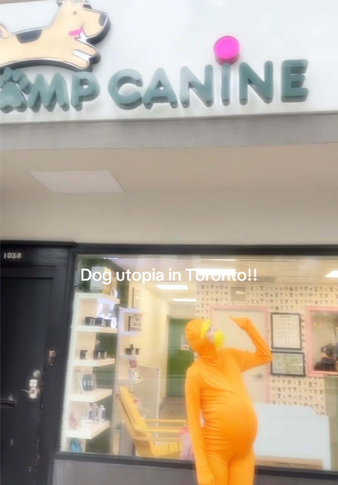 @Camp Canine Toronto