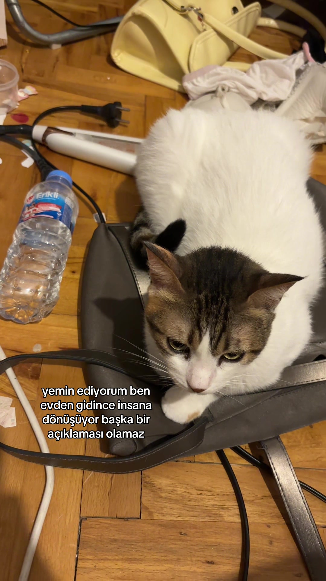 @nur