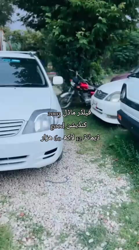 @ncpcarlover1