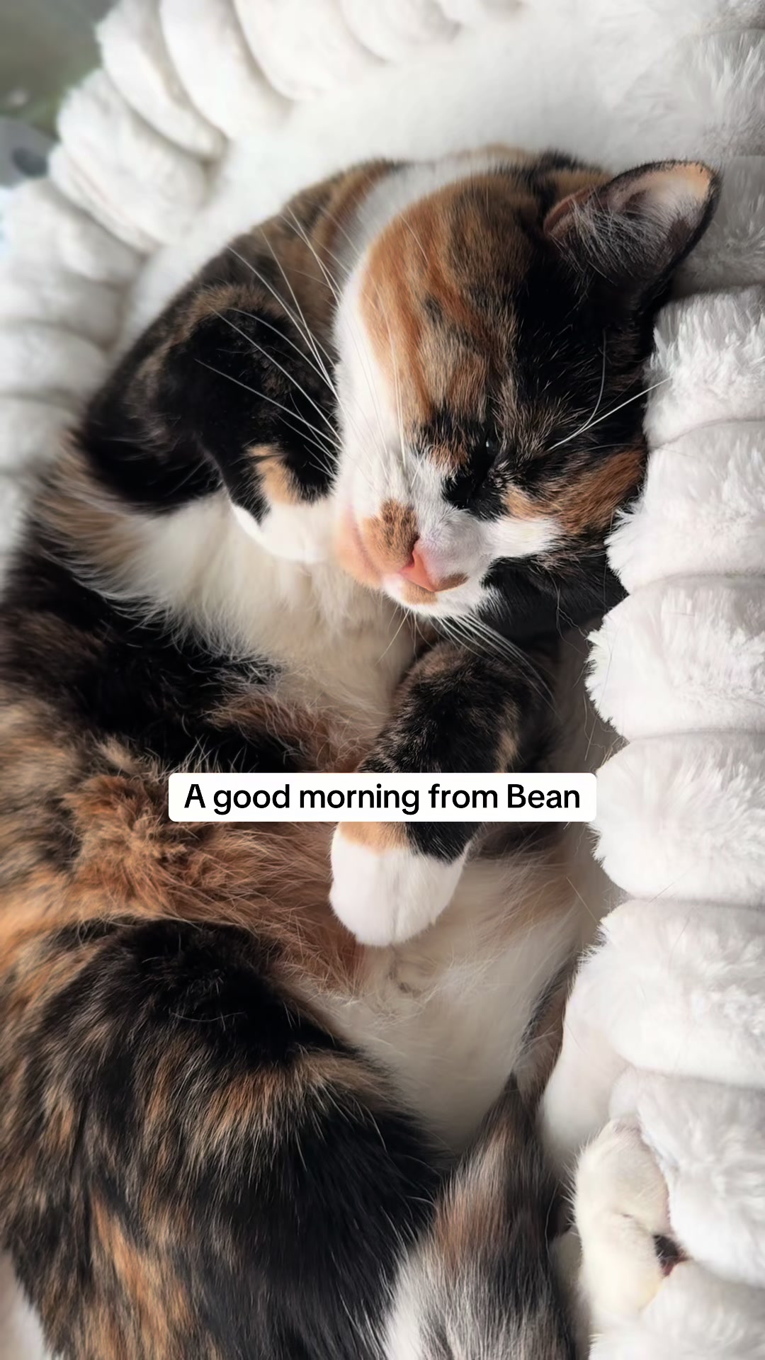 @Frank & Bean