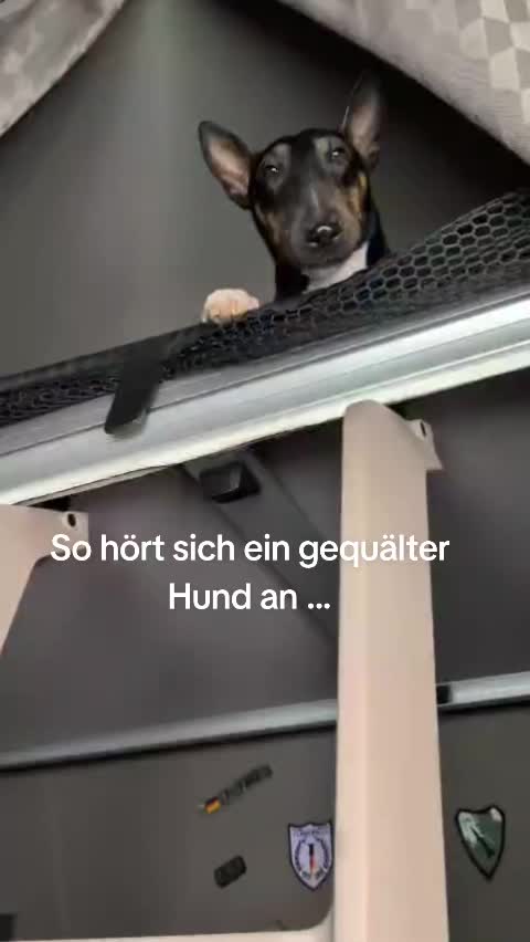 @DerJokerUndSeineFreunde
