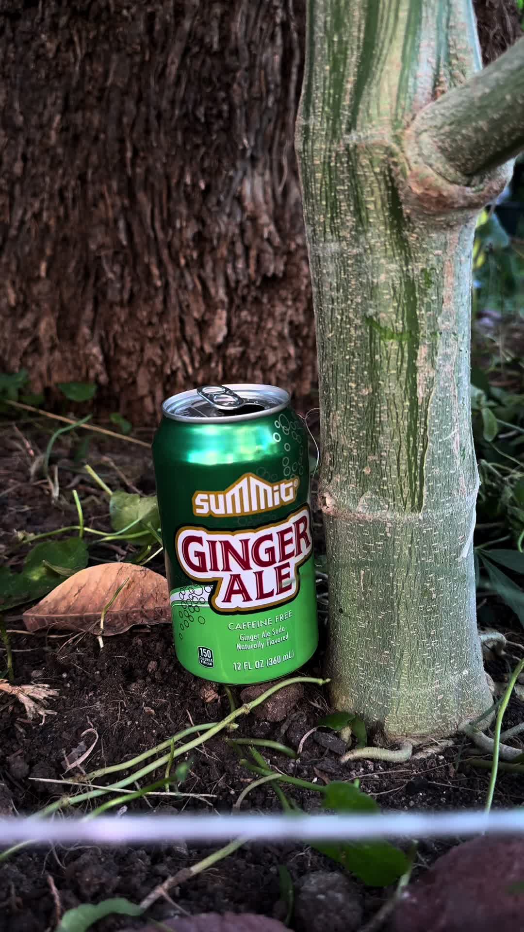 @CannaHut
