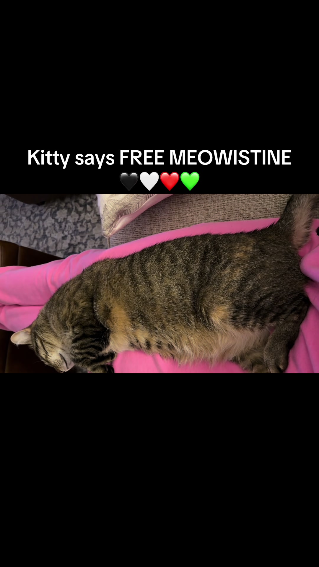 @MauxxSavvs