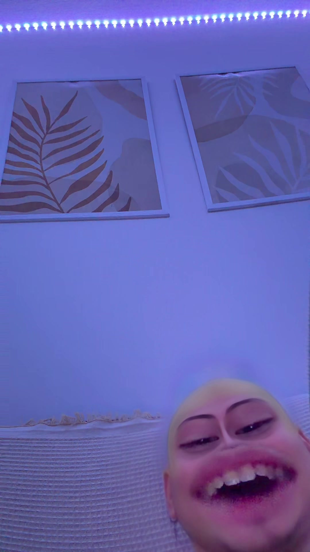 @FerrerDaniel™