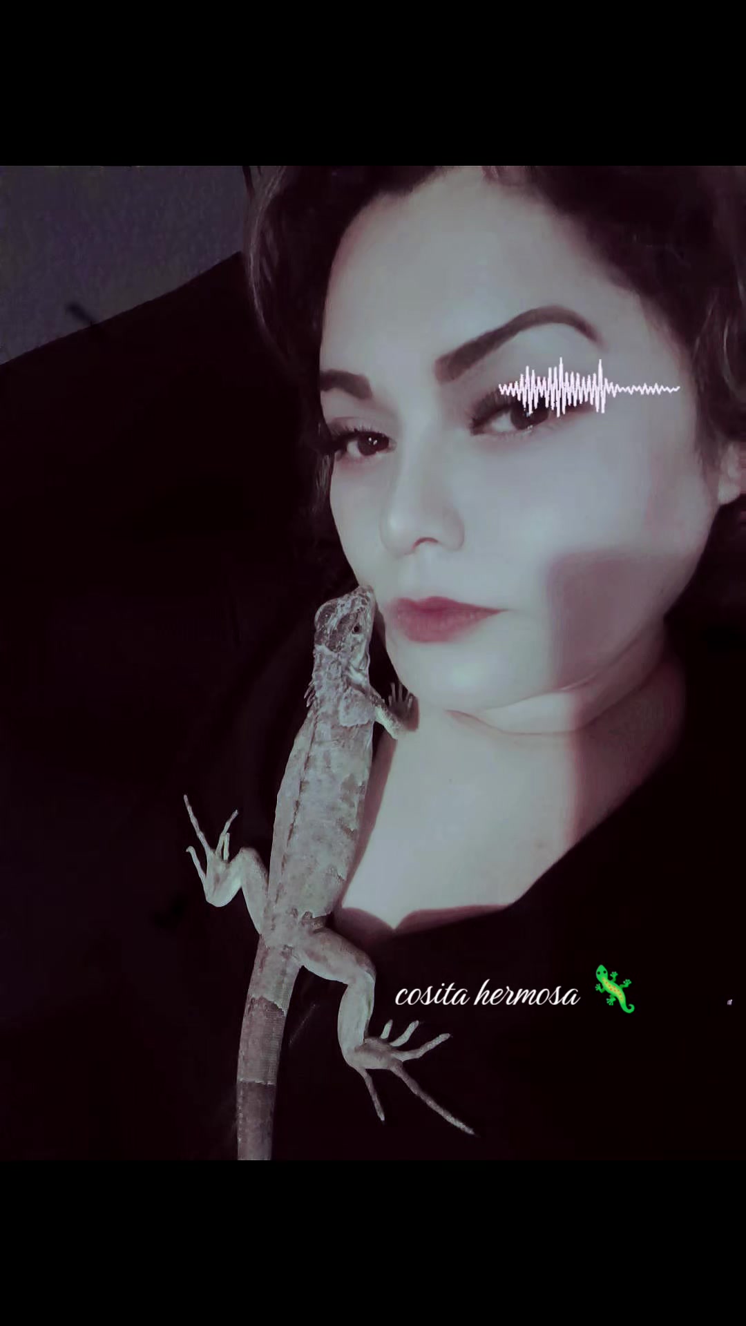 @๐ท๐๐๐๐ ๐ธ๐๐๐๐๐