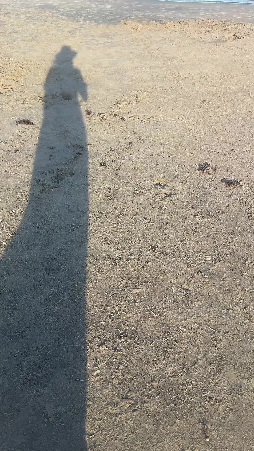 @𝐻𝒾𝓃𝒶𝓈𝒽𝒽𝒽𝒽