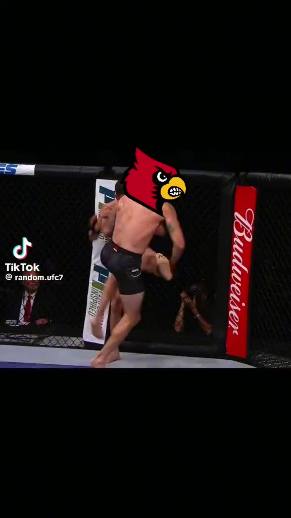 @Thatguyjustgotu