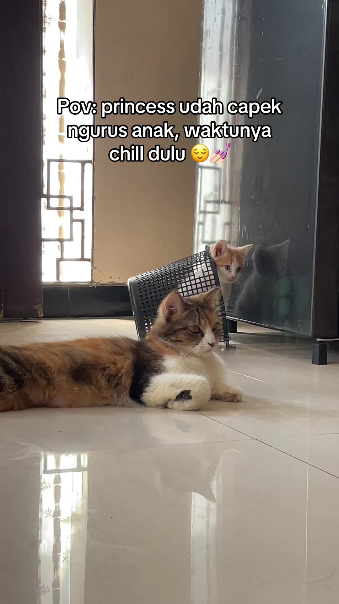 @biskuit&cimul