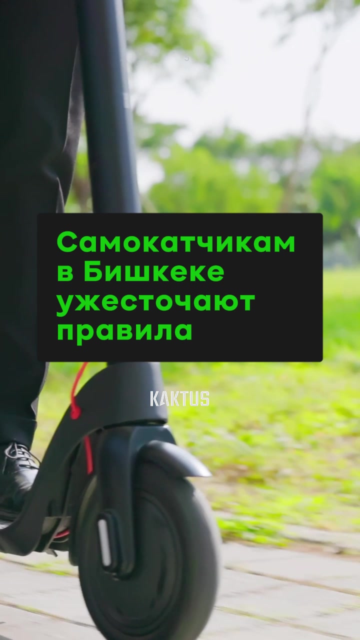 @Kaktus.media