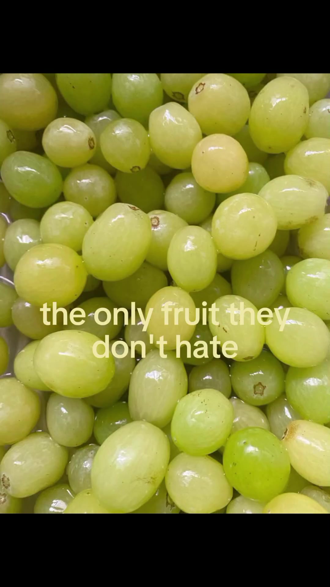 @ꨄ 𝐘𝐚𝐧𝐚 ꨄ