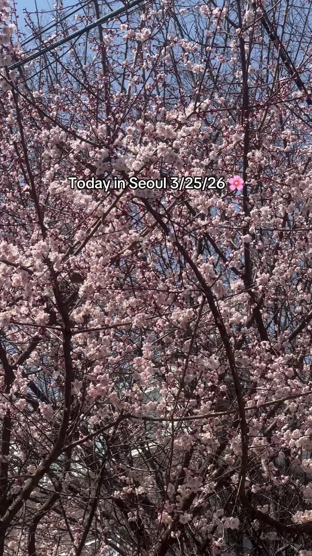 @jo ♡