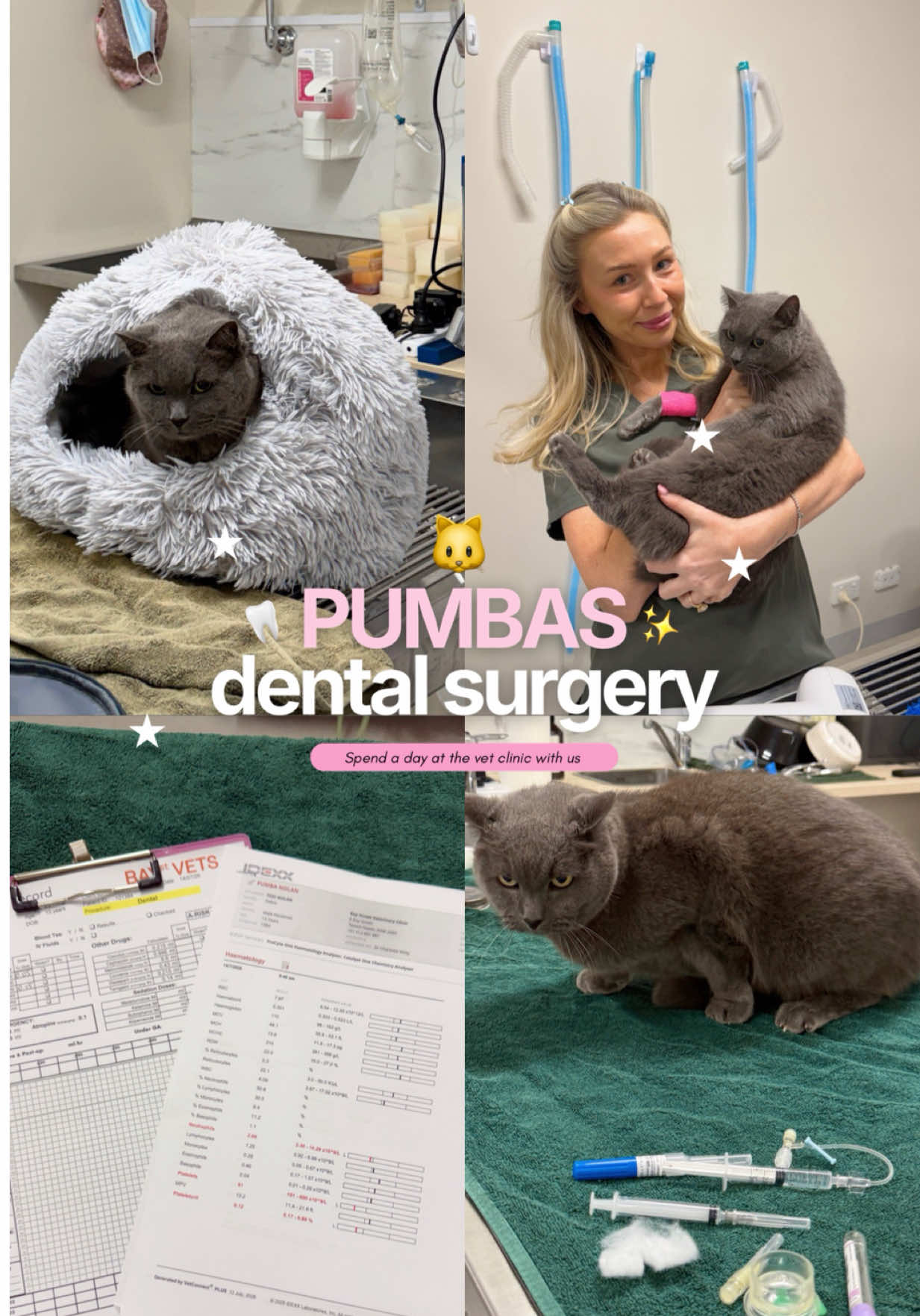 @Tess the Vet Nurse