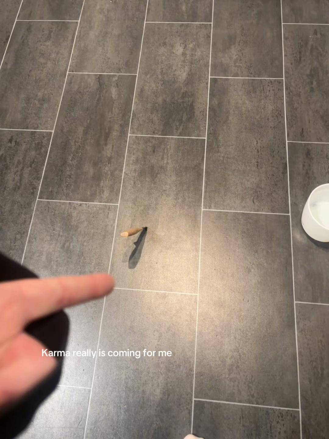 @Prinis🦈