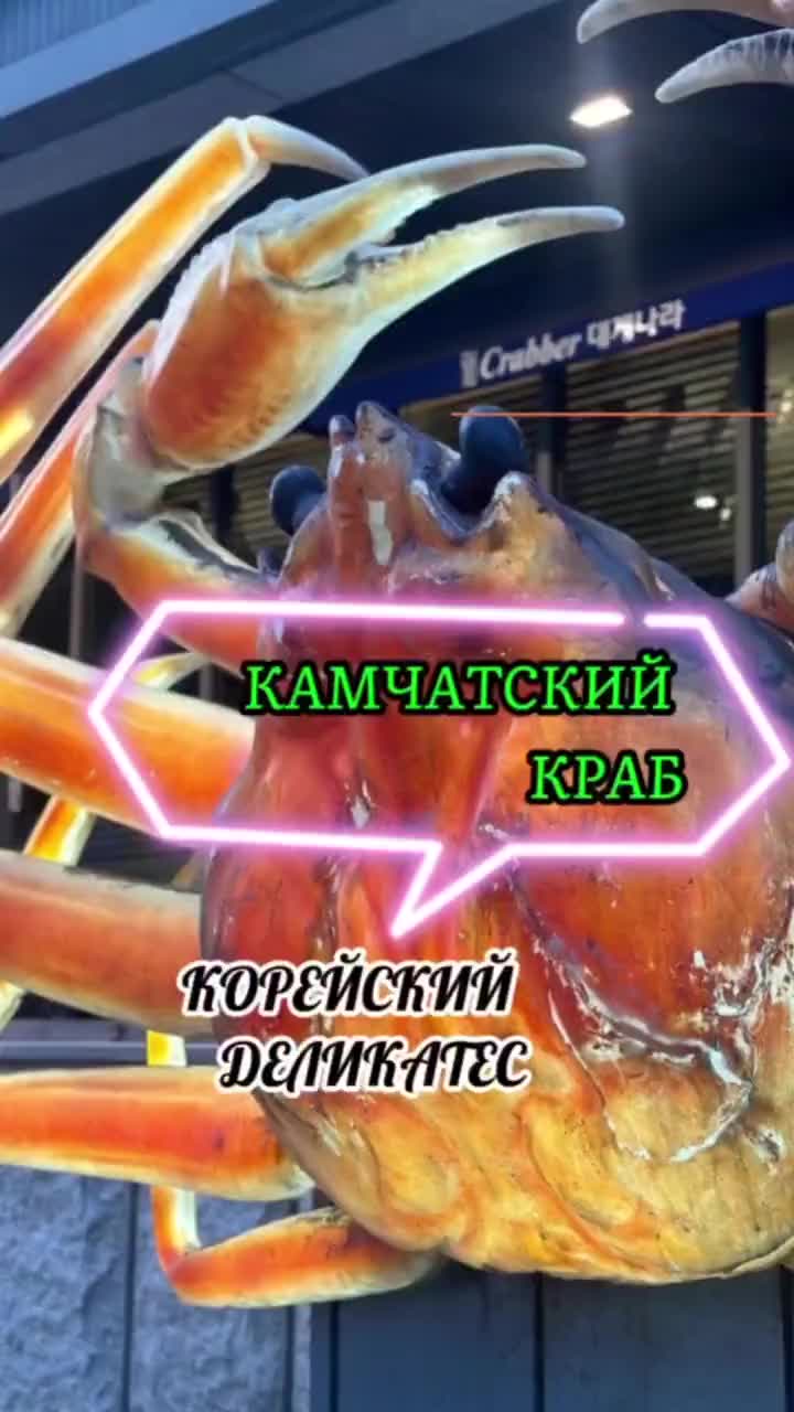 @😎PAPA V KOREE😎