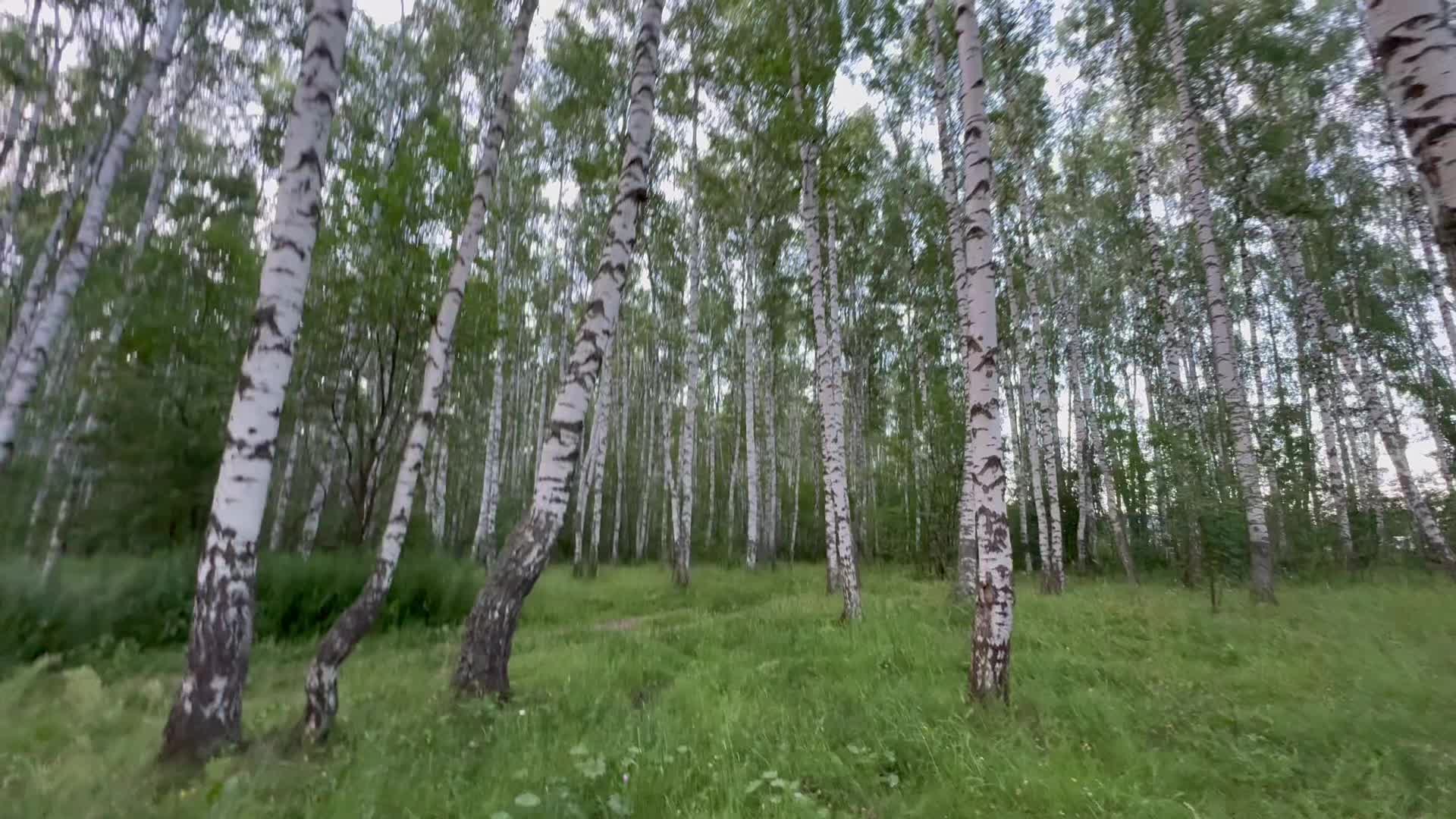 @ther0sh