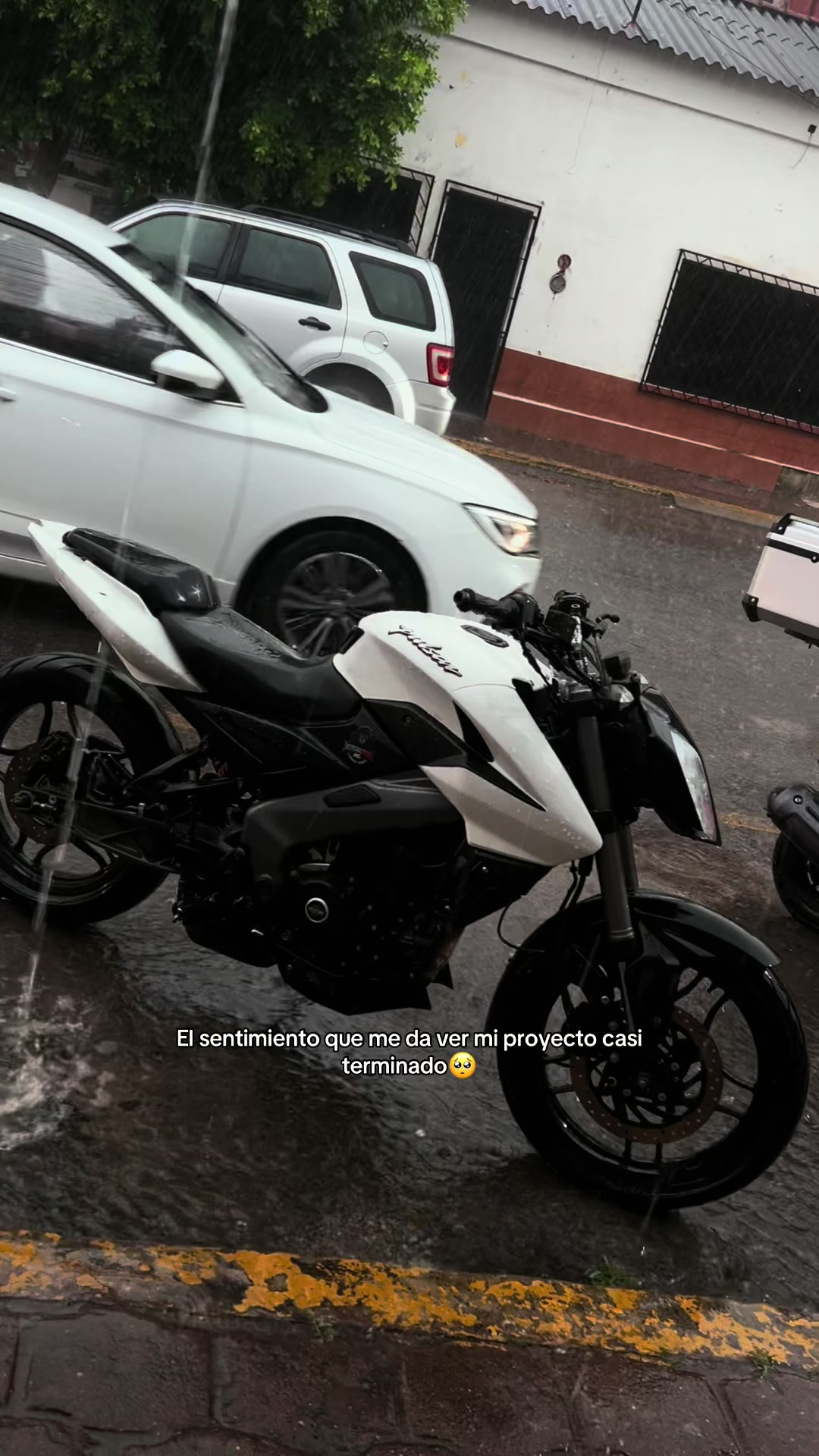 @palbiker🚀