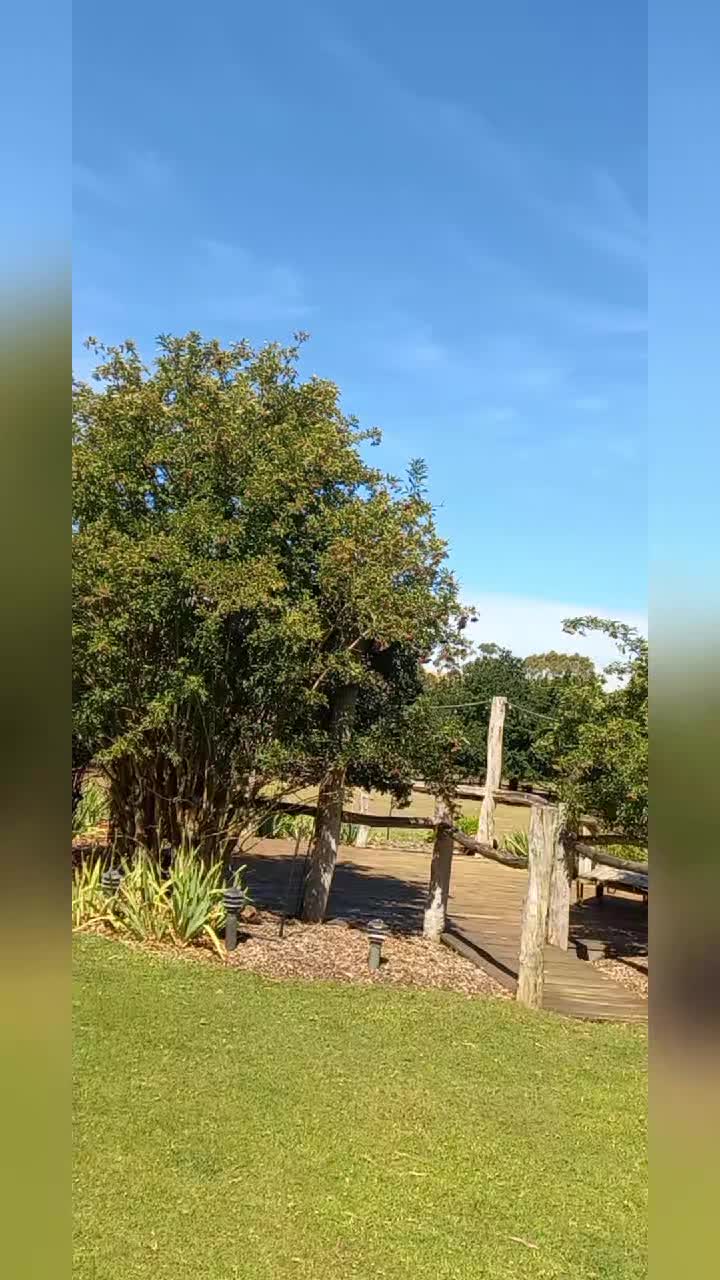 @Emu bottom homestead