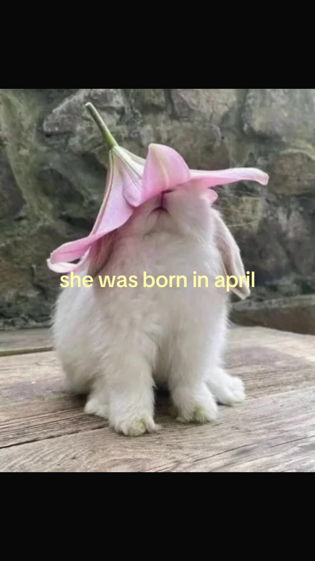 @blobfish222