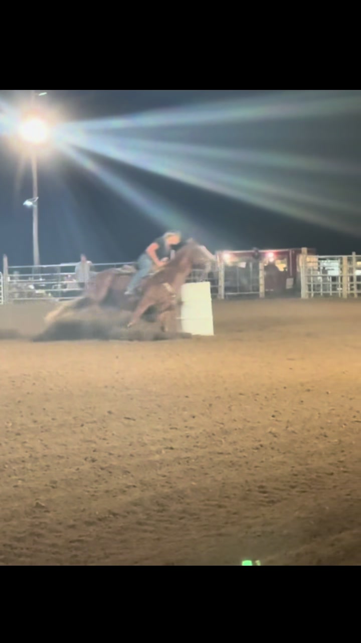 @KY Performance Horses