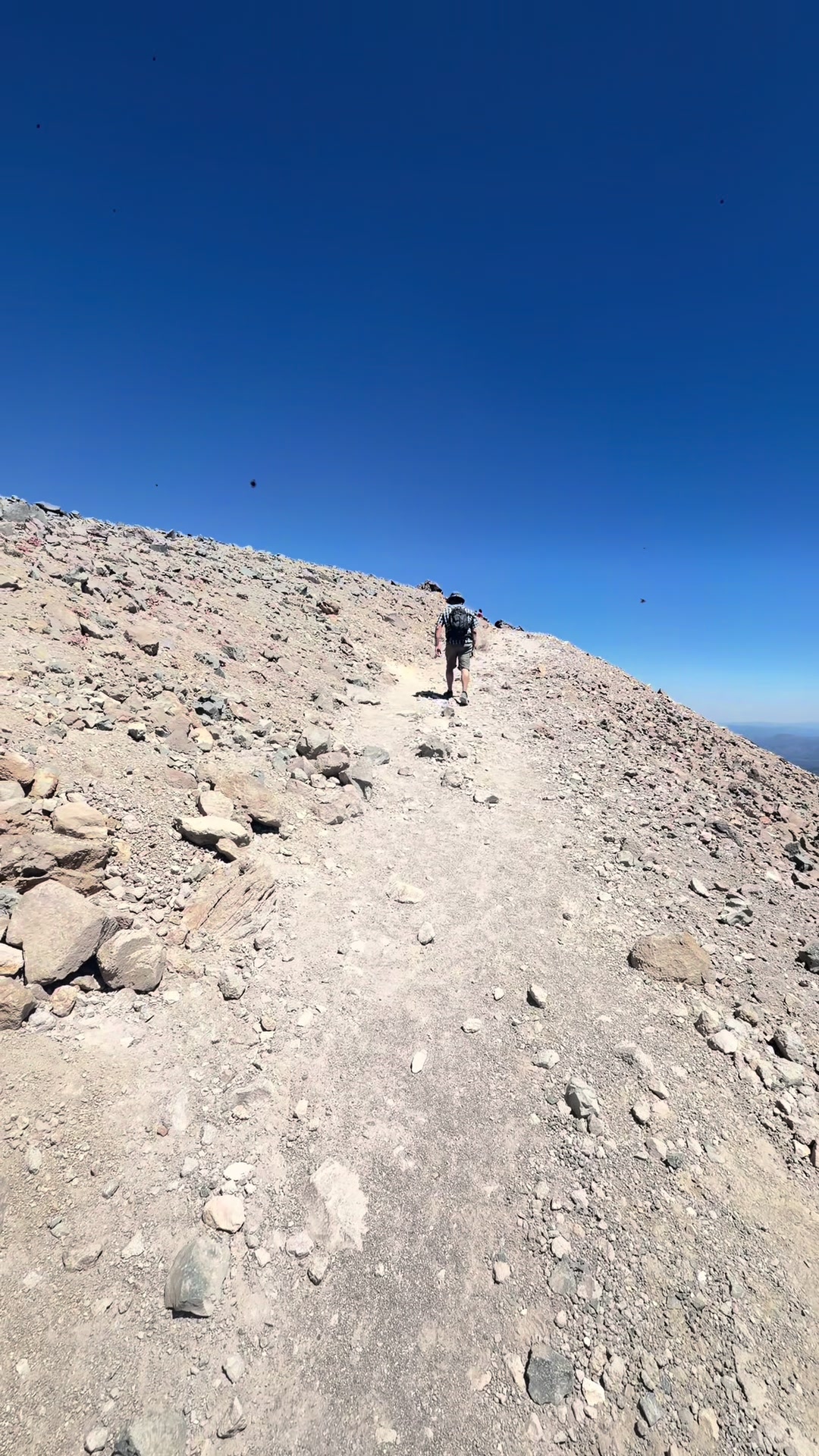@Holly Marie Shingleton