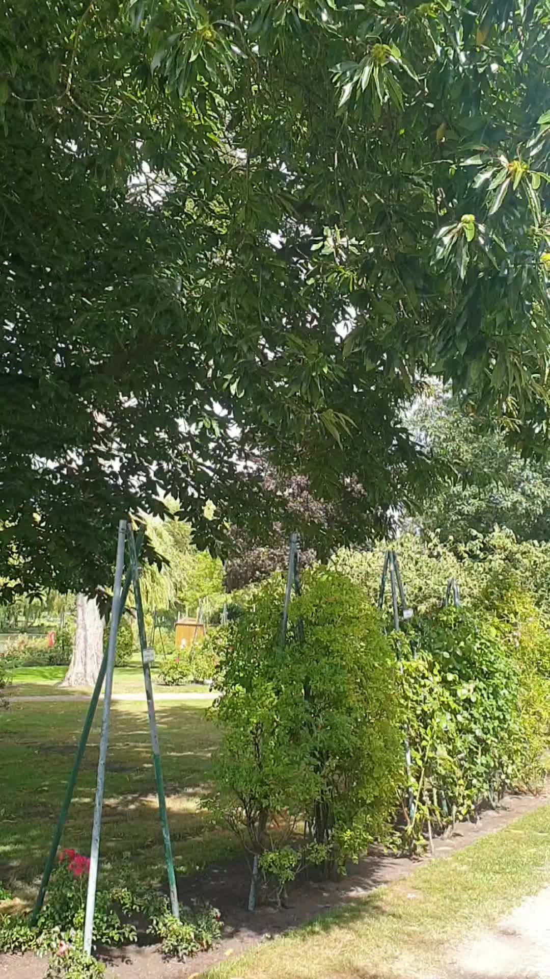 @شبهای تنهایی
