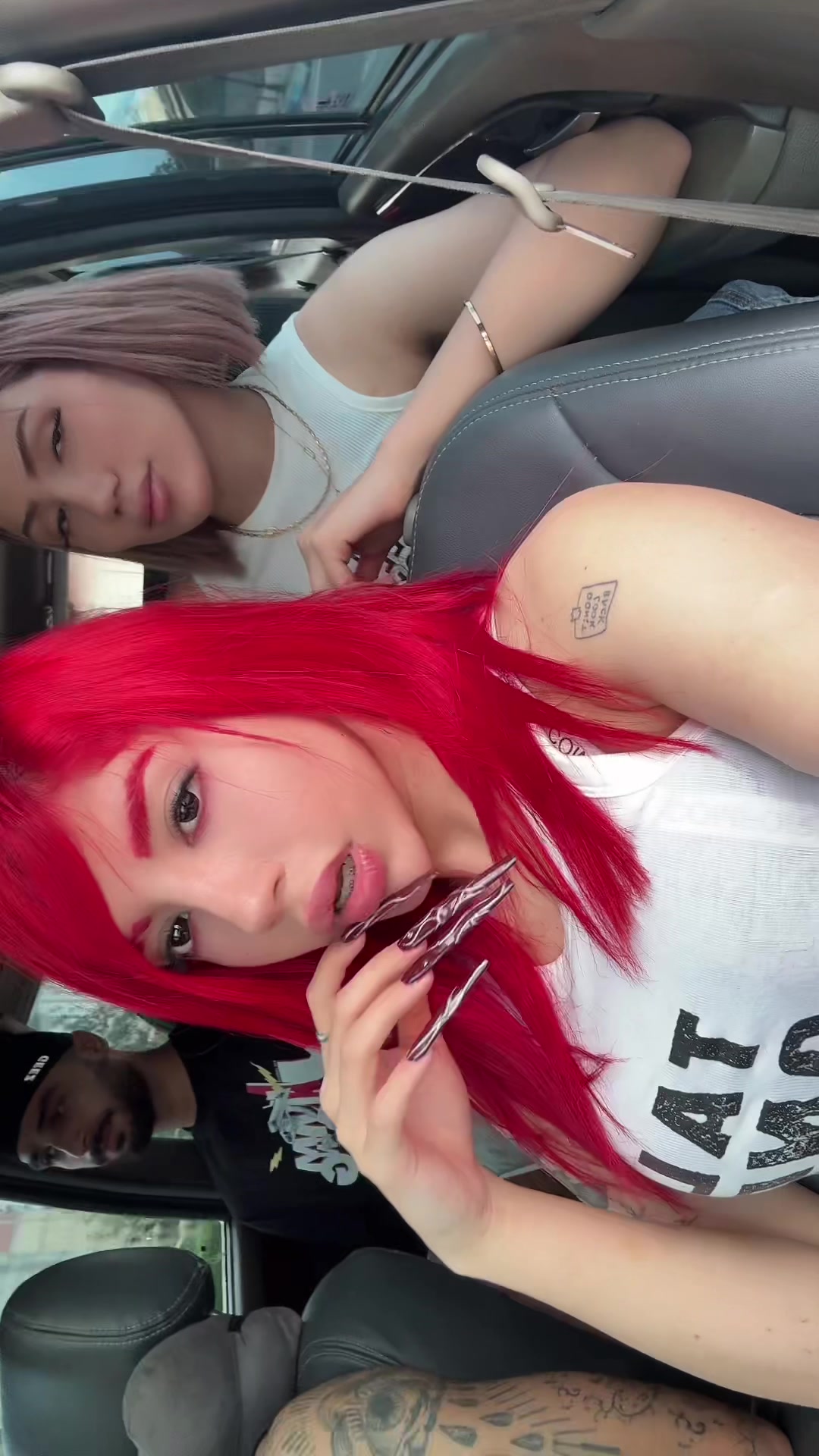 @Melika Maleki