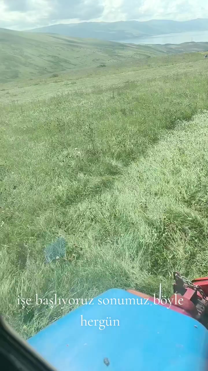 @Göksal Güneş