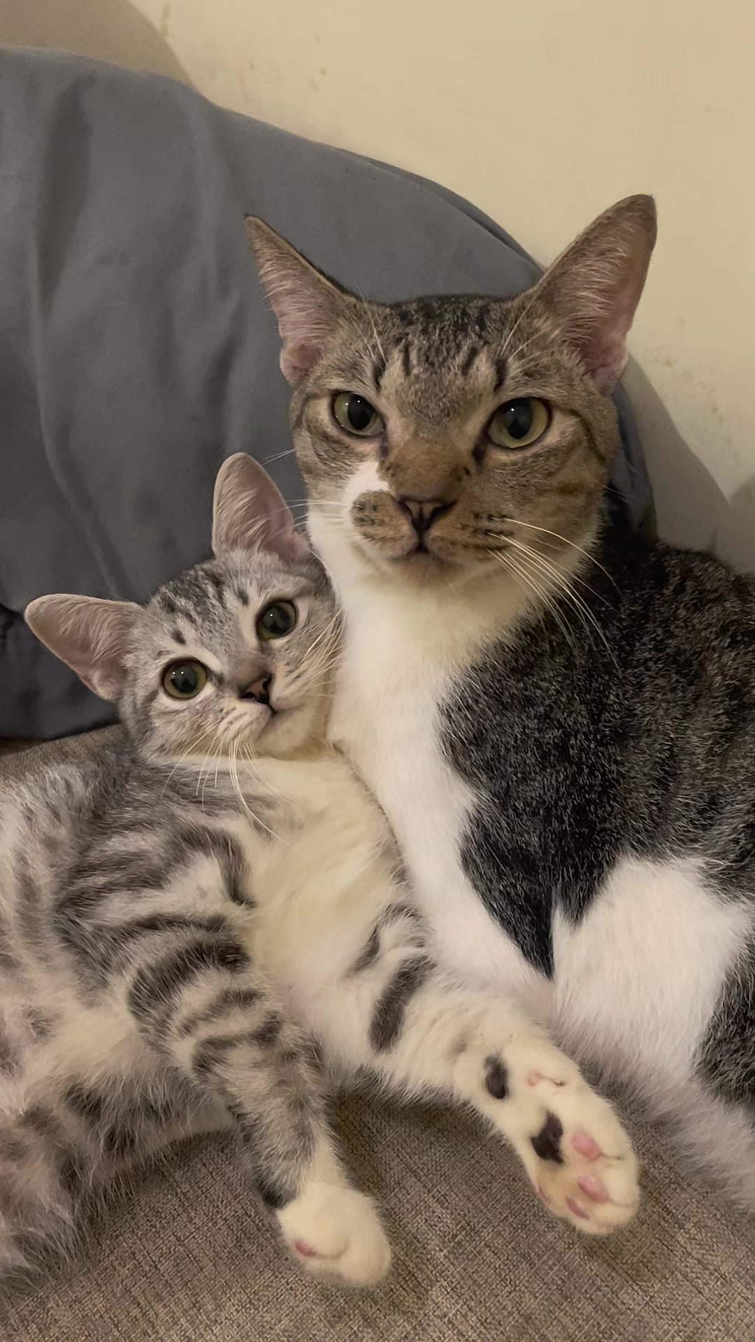 @three_muscateers