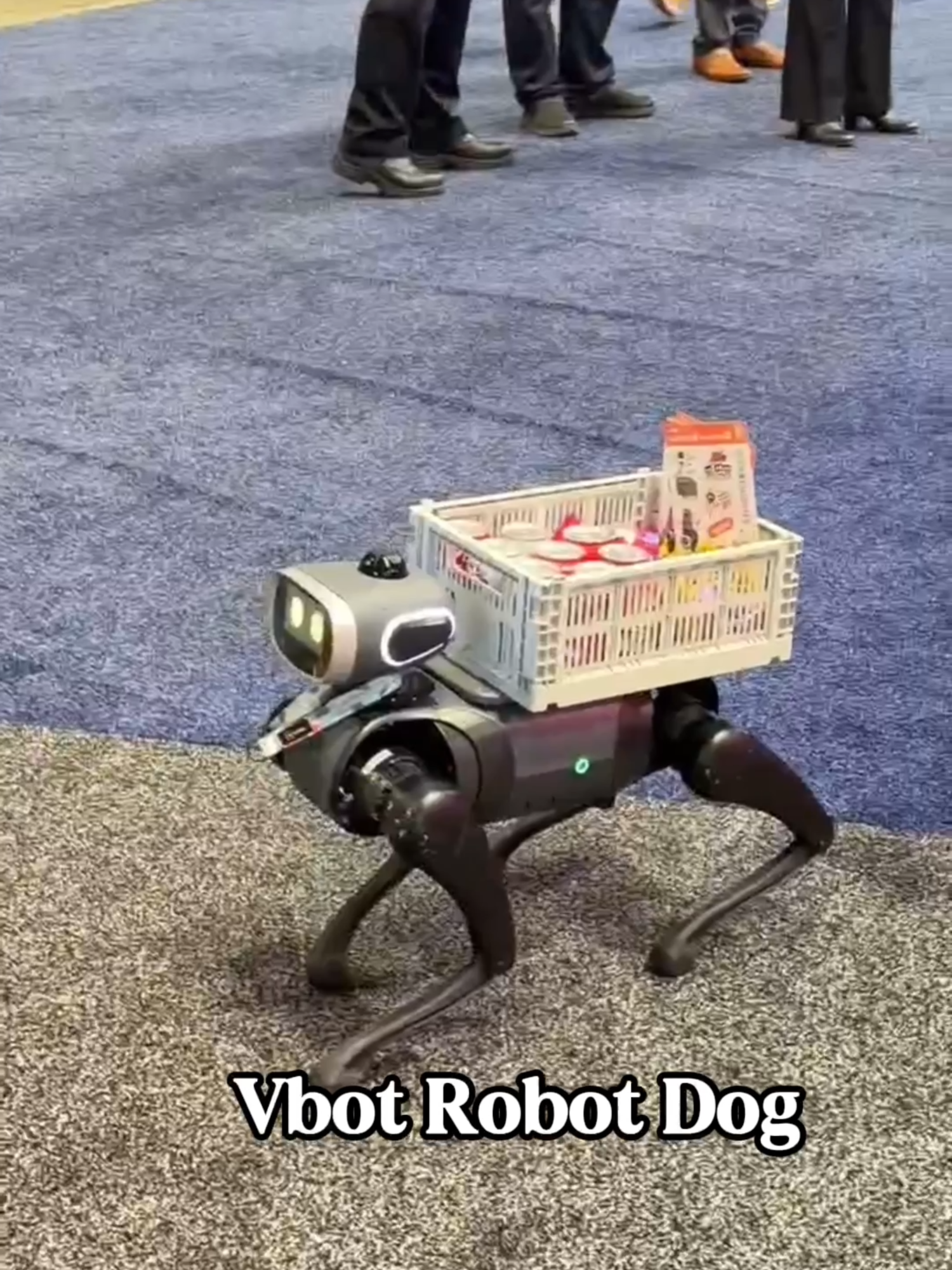 @EN Robot