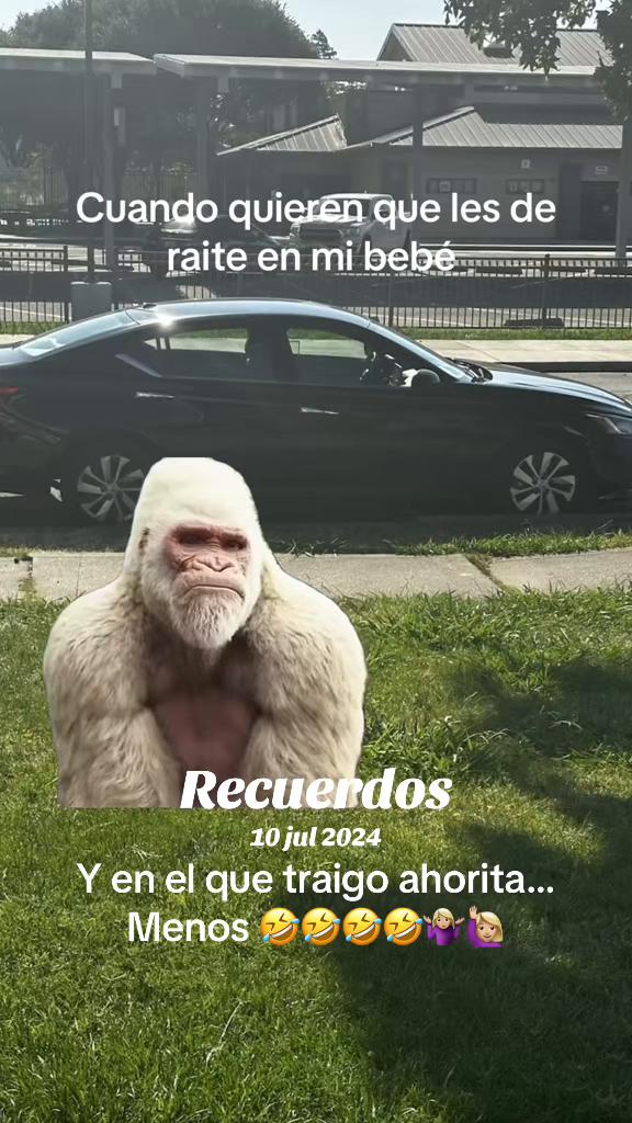 @Armida Luz Galeana