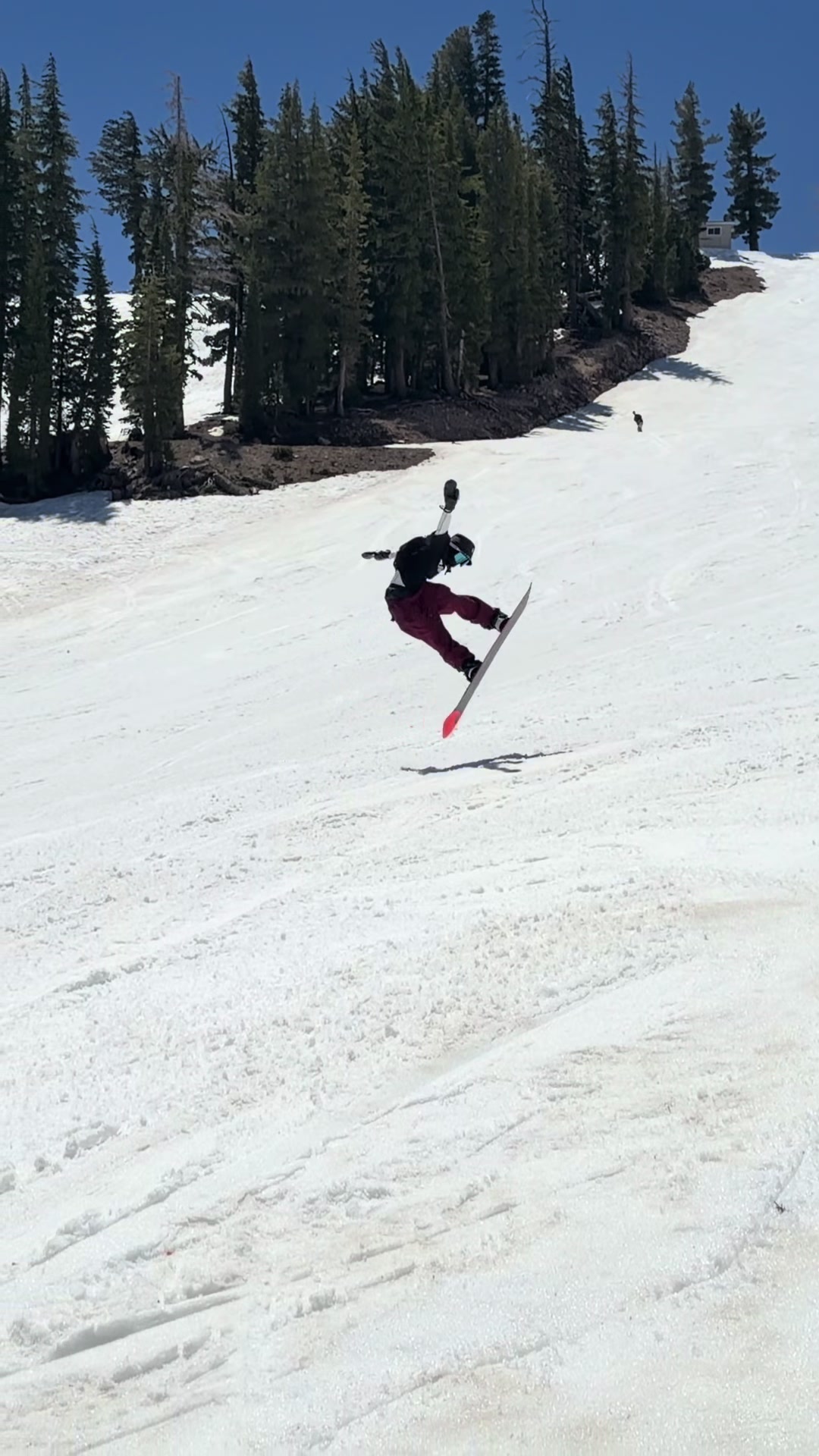 @laketahoecarver