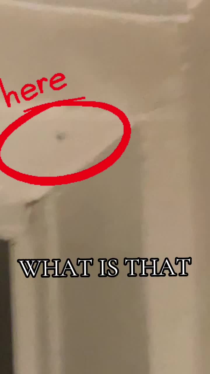 @Եօօղ (𝖯𝖾𝗌𝗍𝗌 𝘸𝘩𝘢𝘵)