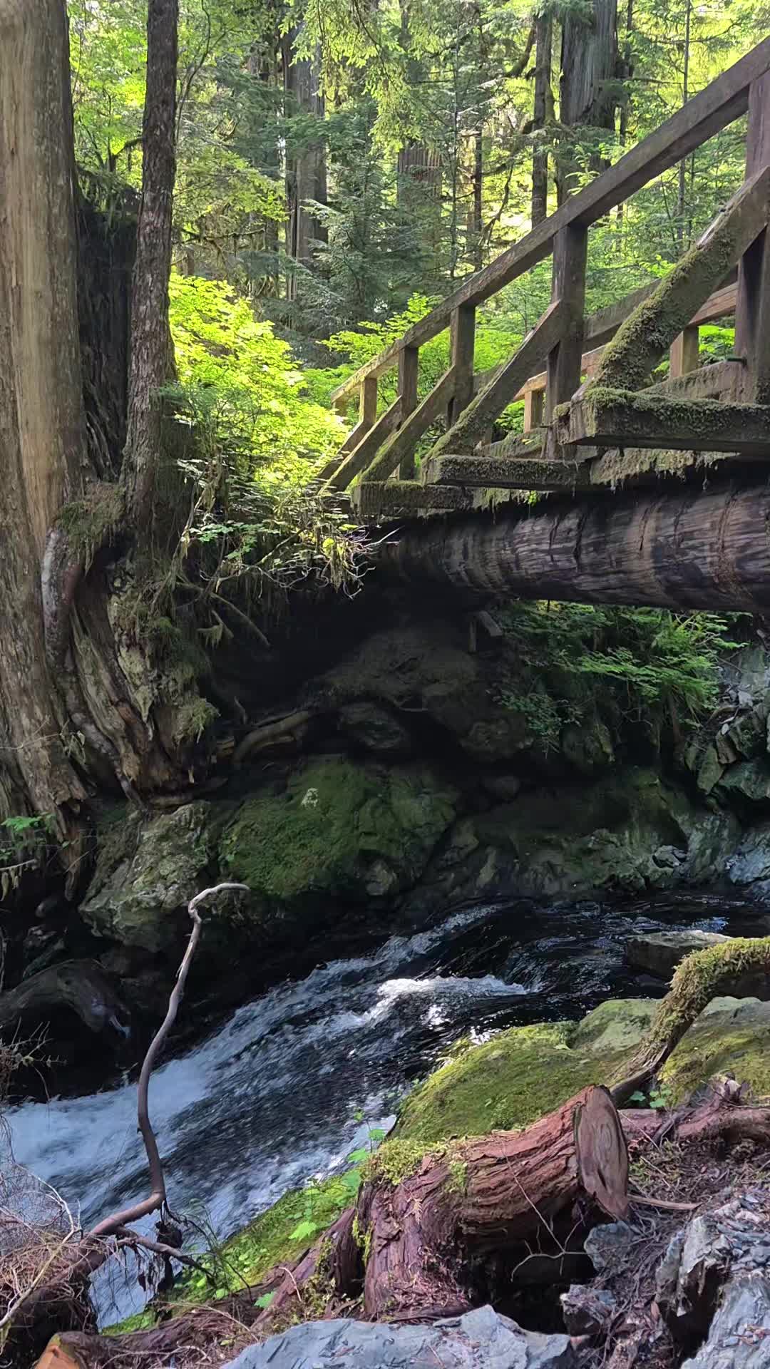 @Nicole🌲🏔🥾|PNW|