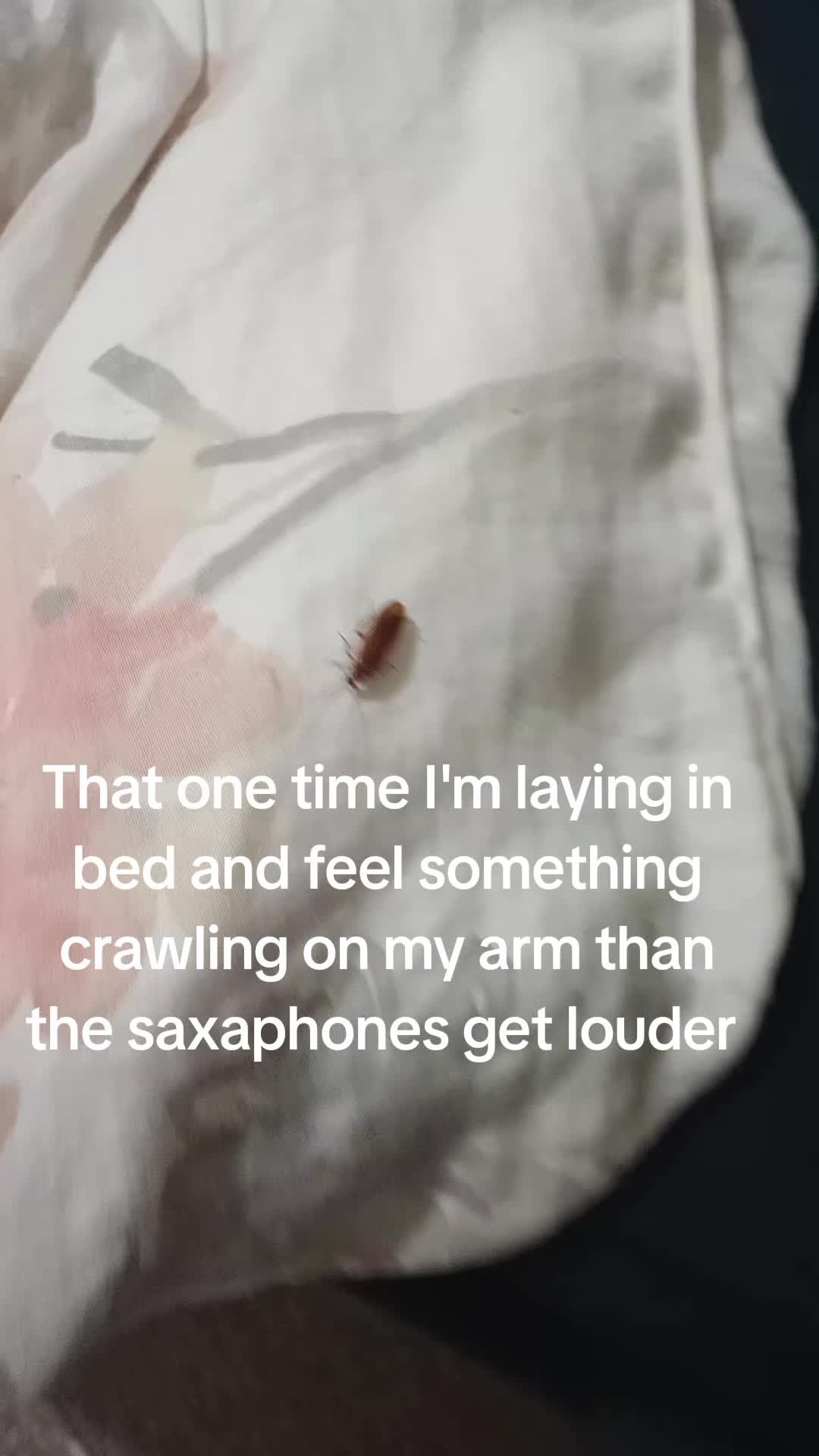 @brittd94