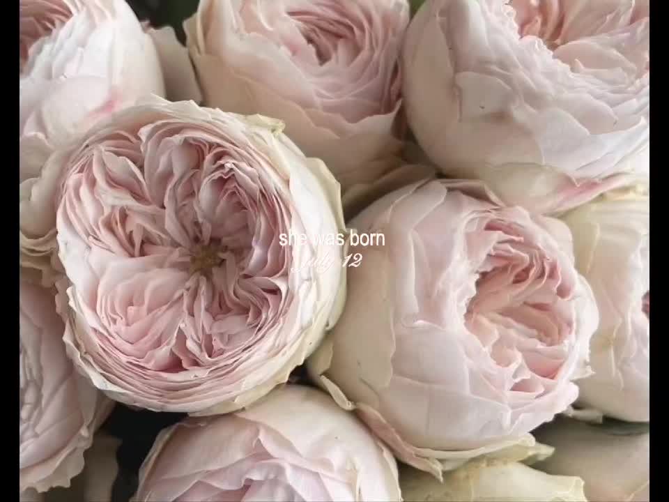 @sara.