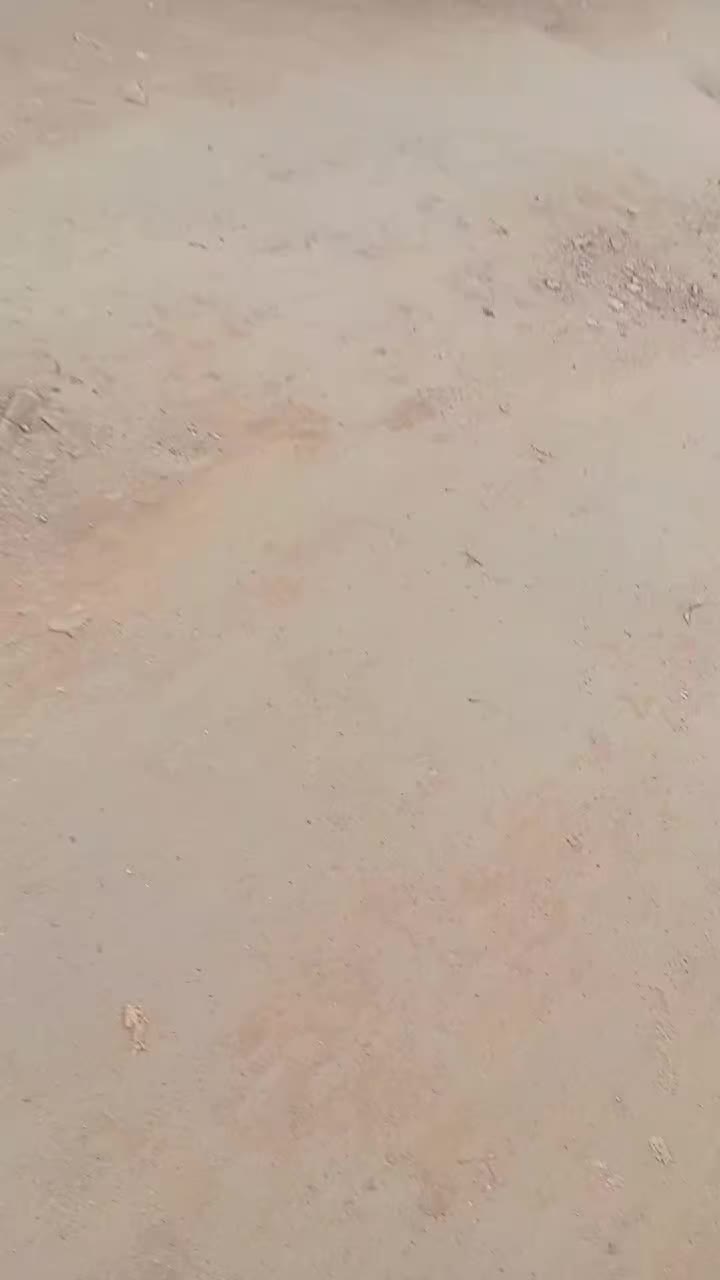 @pashu807