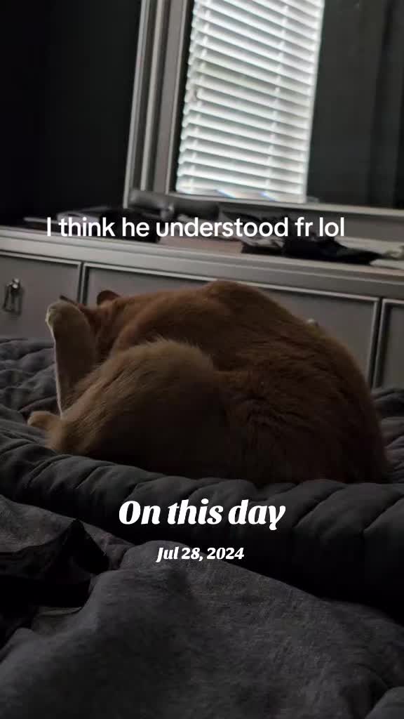 @mindingmybusinessforreal