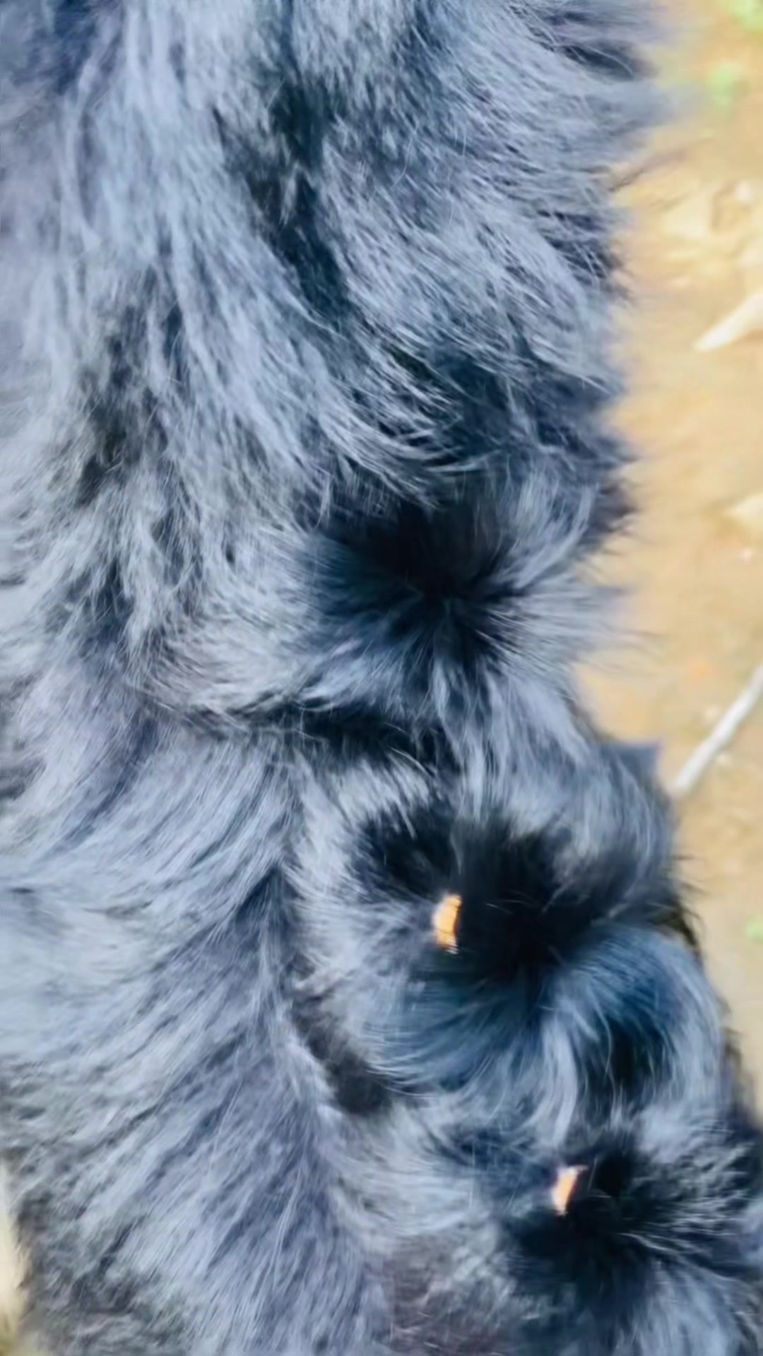 @Dulanjalee 🍂🩷 12"27 👀🧸